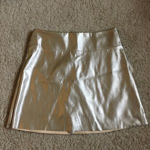 NWT Metallic Skirt